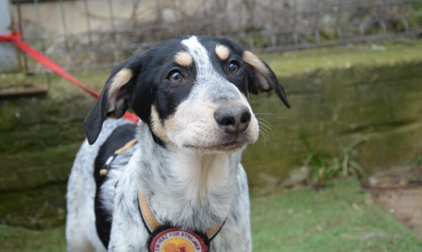 LUKE – ca. 4 Monate