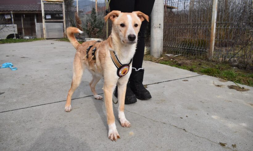 LALIA – ca. 4 Monate