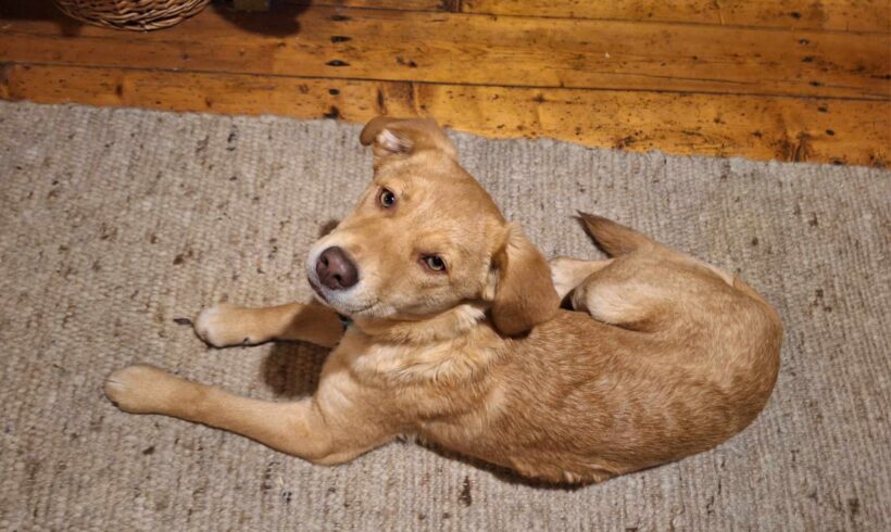 TESSI – ca. 6,5 Monate