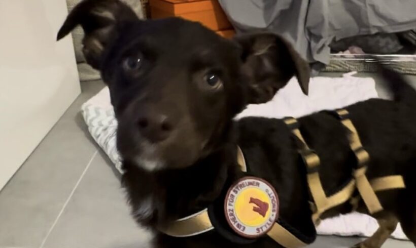 LOLA – ca. 4 Monate