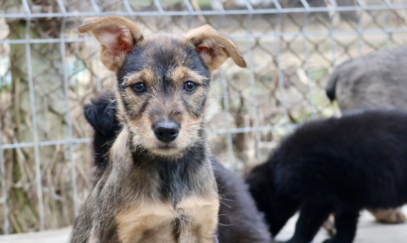 EMMI – ca. 3 Monate