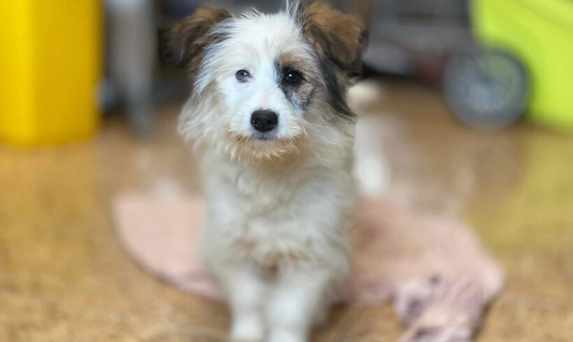 RONDA – ca. 3 Monate