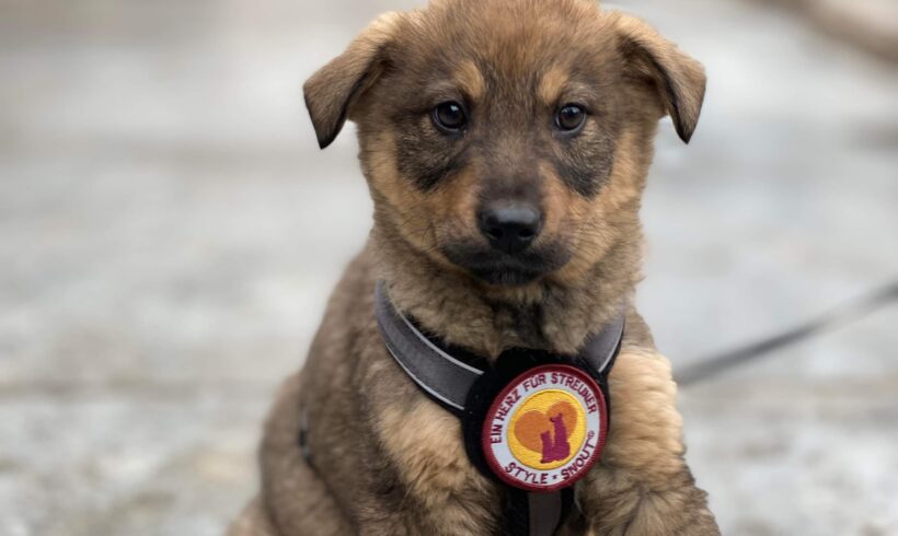 WANDA – ca. 3 Monate