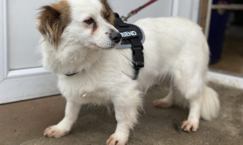 FYIA – ca. 1 – 2 Jahre