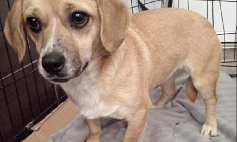 RIEKE – ca. 1 – 2 Jahre