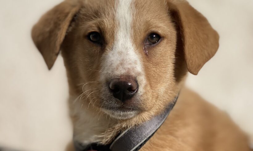 ALBERTO – ca. 3 Monate