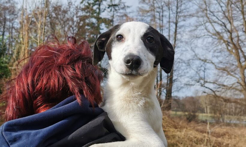 SMUTJE – ca. 5 Monate