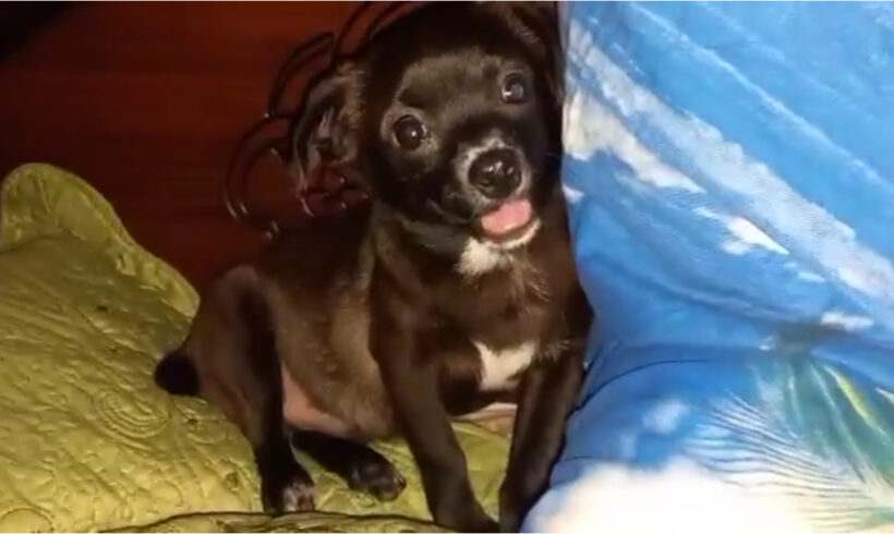 LUCKY – ca. 5 Monate