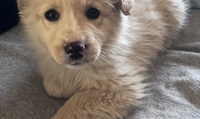 KARO – ca. 2 Monate