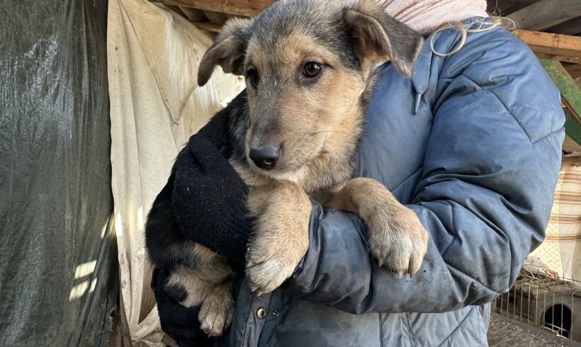 JENNA – ca. 4 Monate