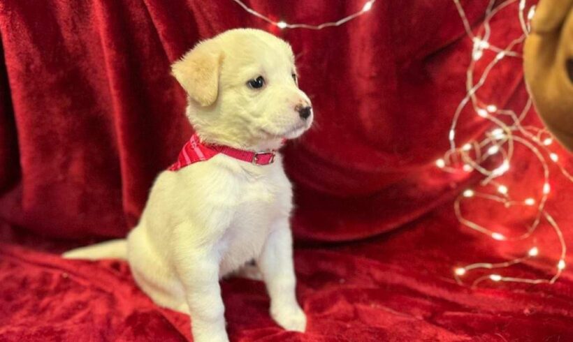 ZURI – ca. 3 Monate