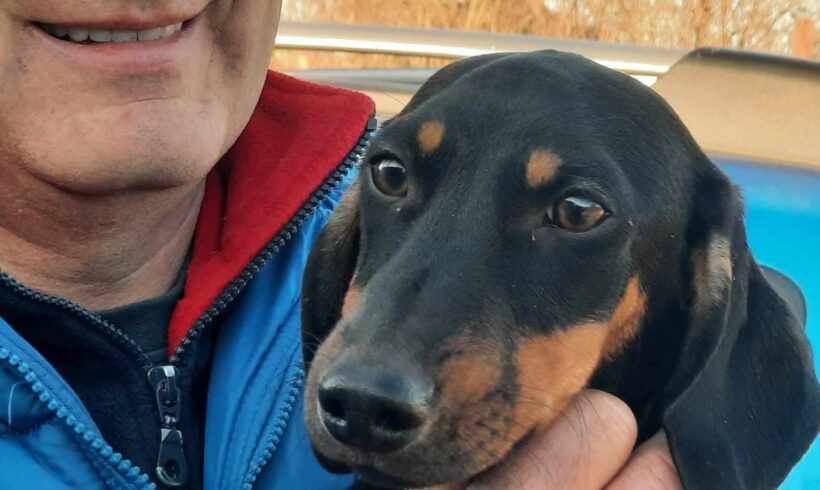 MAKAIO – ca. 5 Monate