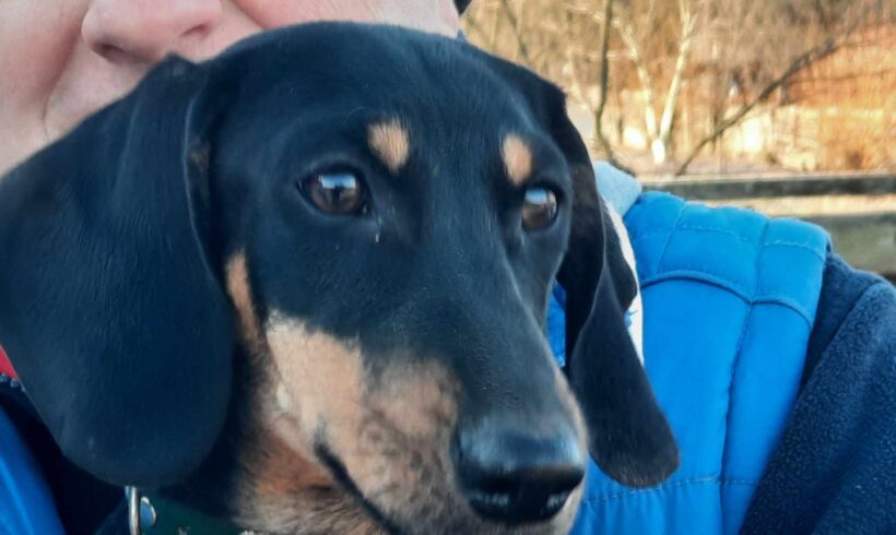 SONY – ca. 5 Monate