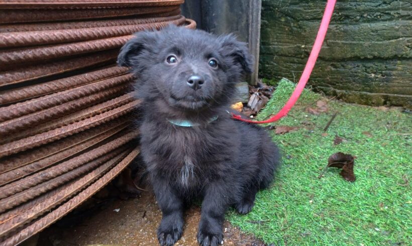 SUNA – ca. 2,5 Monate