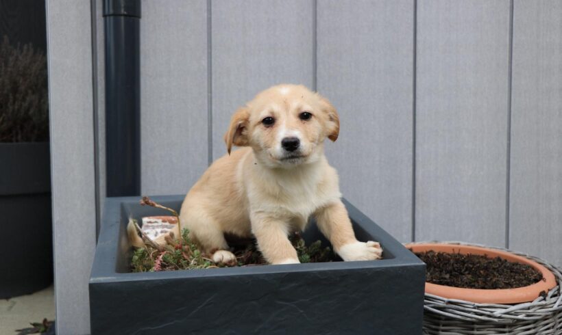 CASPER – ca. 2 Monate