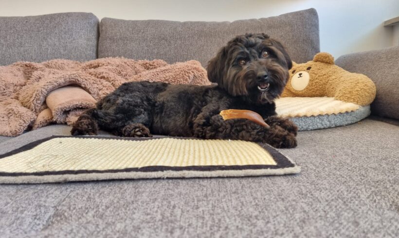 ARIA – ca. 1,5 Jahre