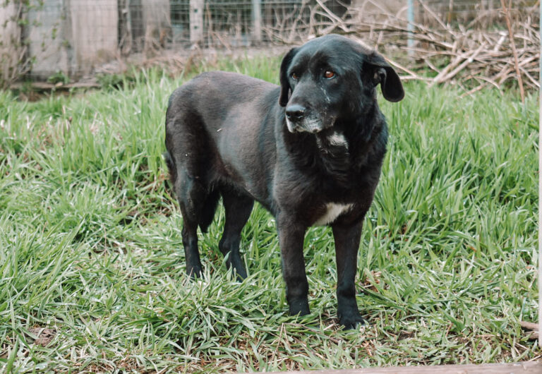 429589706_7229414130470924_784936726057230861_n