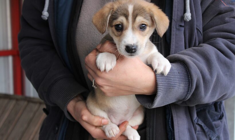 MIMMI – ca. 2 Monate