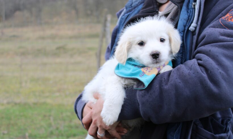 BOUNTY – ca. 2,5 Monate