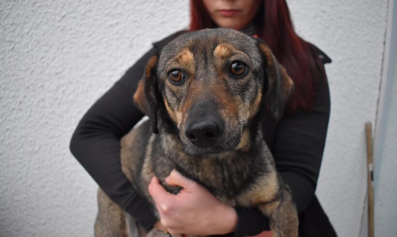 KAJA – ca. 2 Jahre