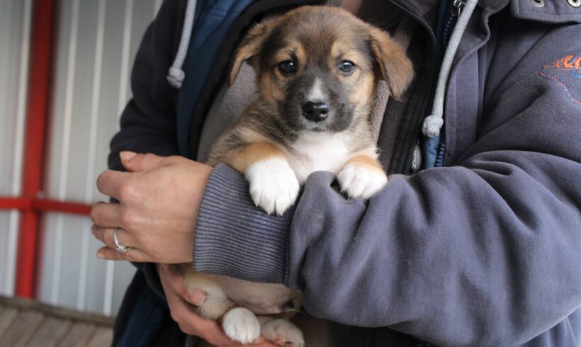 JOHANN – ca. 2 Monate