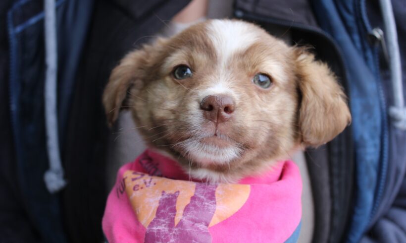 PAULA – ca. 2,5 Monate