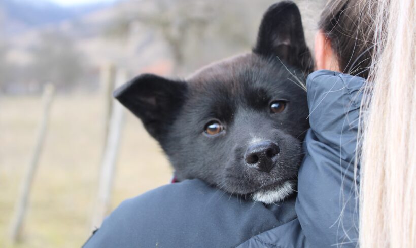 ANGIE – ca. 4 Monate