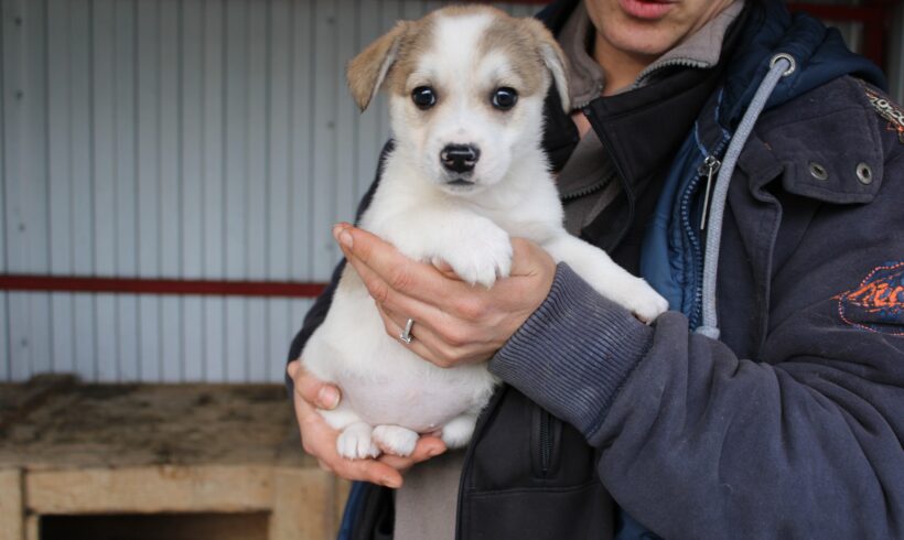 IZZY – ca. 2 Monate