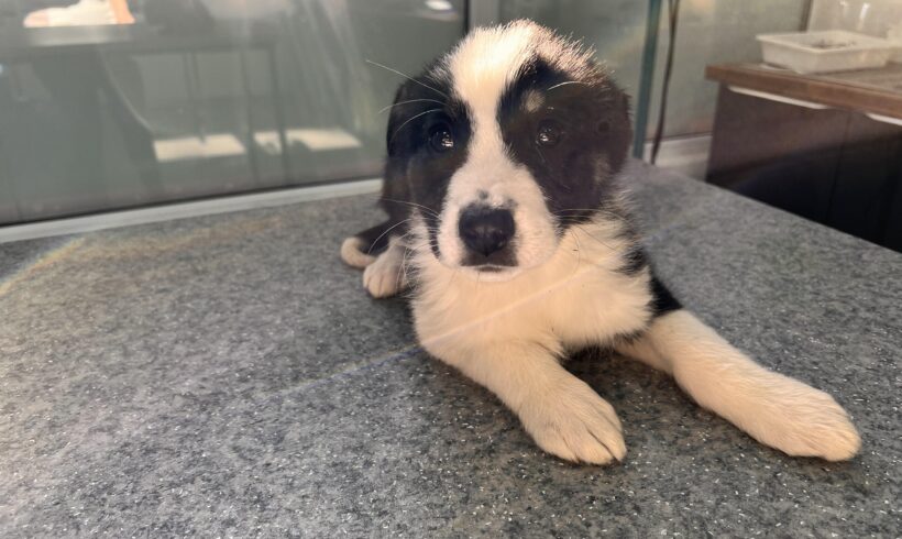 NELIAH – ca. 3 Monate