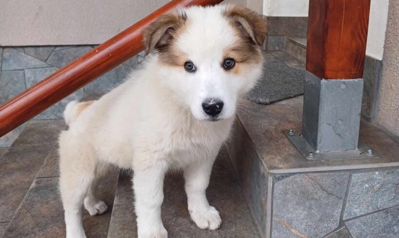 LENA – ca. 3 Monate