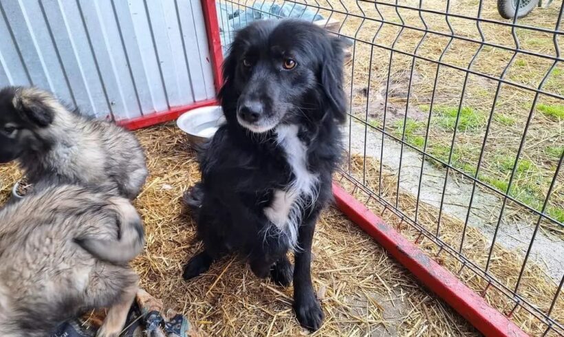 ELFIE – ca. 2 Jahre