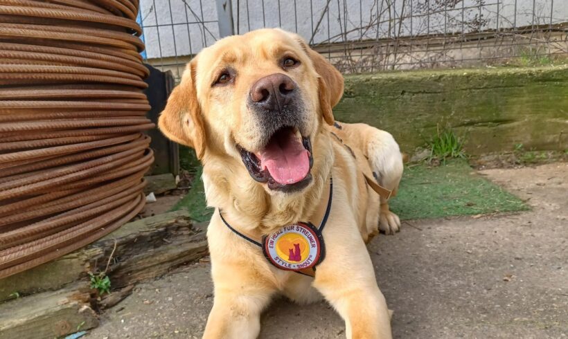 SUNNY – ca. 2 Jahre