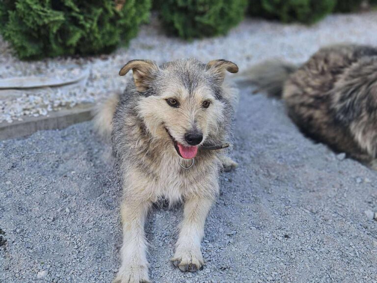 524375223_2081331725608712_4727549279167494898_n