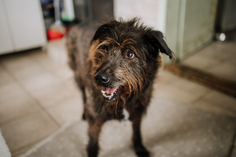 5CA97F78-0967-42FF-B496-989F20B320A4_1_105_c