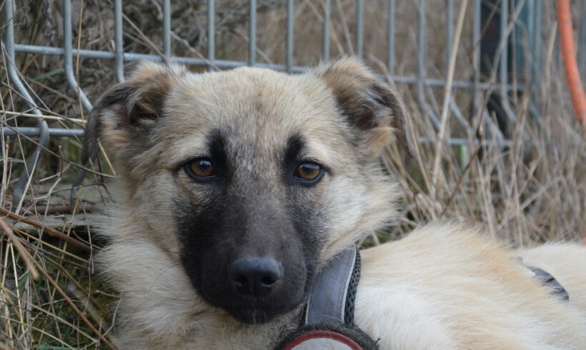 LUCA – ca. 8 Monate