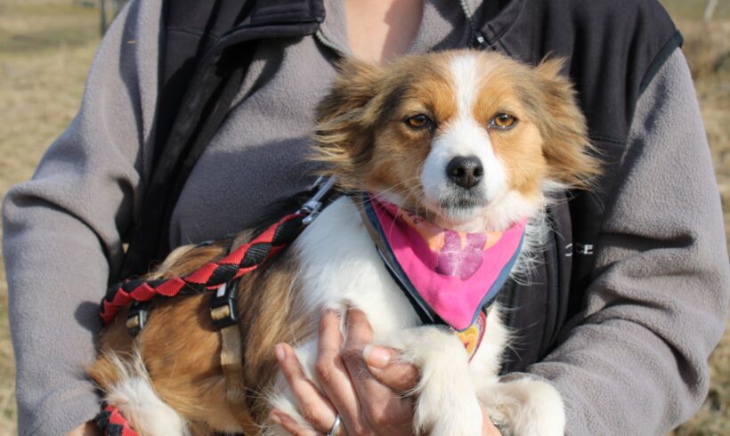 ENJA – ca. 2 Jahre