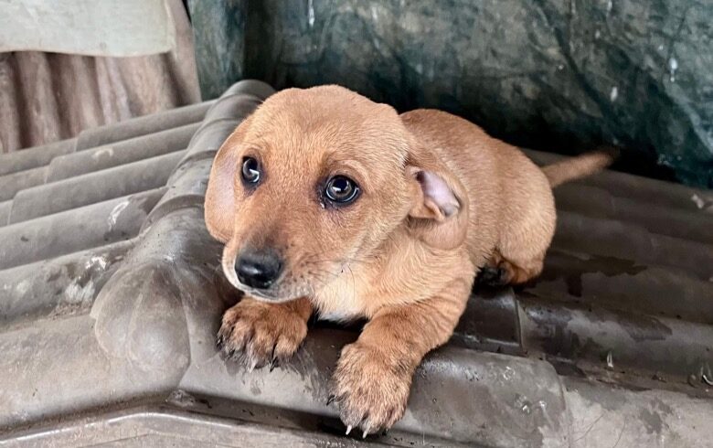 HEIU – ca. 3 Monate