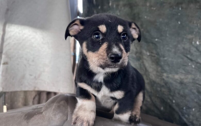 LENNI – ca. 3 Monate