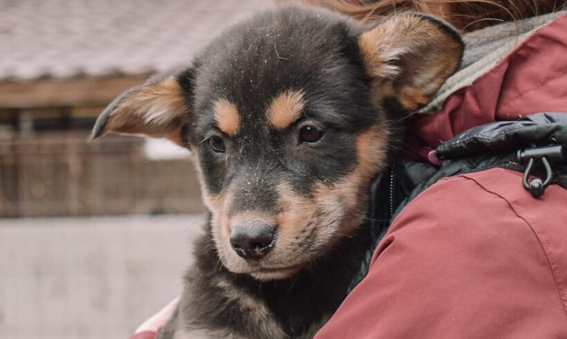 BÄRLI – ca. 2 Monate