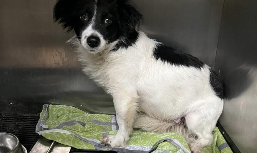 MARCH – ca. 2 Jahre