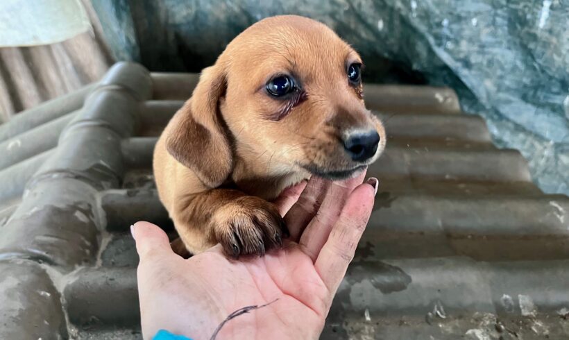 RINA – ca. 3 Monate