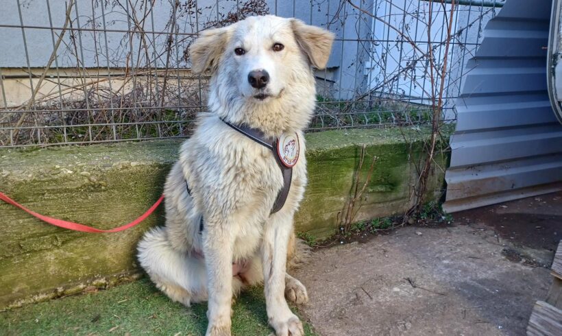 TUULI – ca. 1-2 Jahre