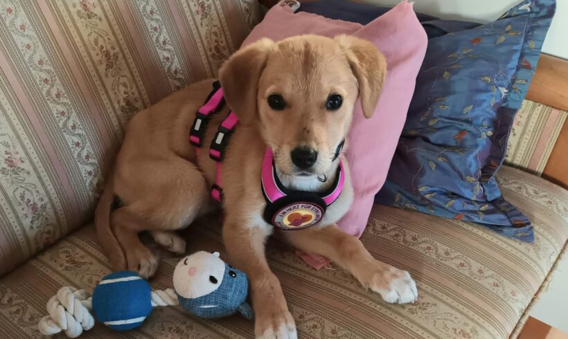 ALINKA – ca. 4 Monate