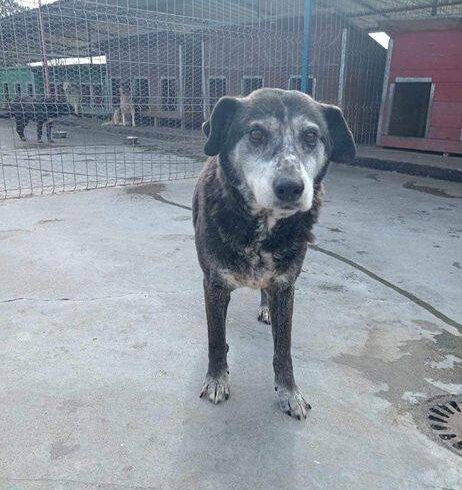 JO-HANNI – ca. 11 Jahre