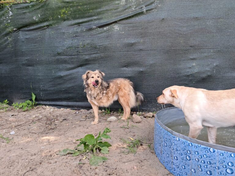 20230620_125631-scaled-1-768x576