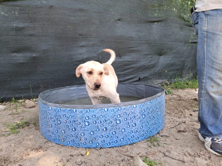 20230620_125646-scaled-1-768x576