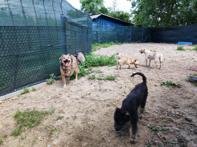 352580387_1264706014151005_9014283332518257409_n-768x575