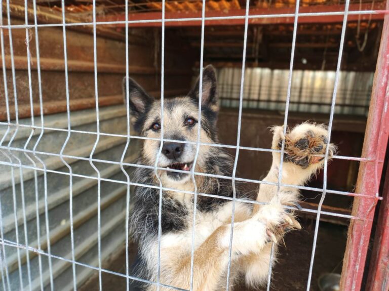 353666645_220109367529093_3072047883861338372_n-768x575