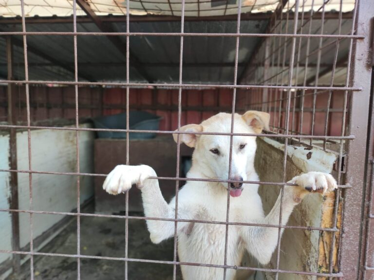 353673740_1318360659086731_507362336845137886_n-768x575