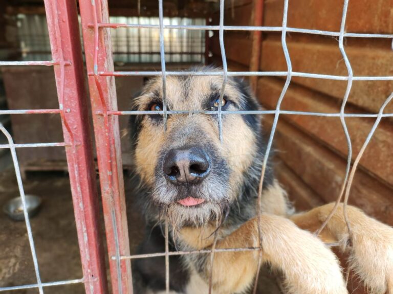 353674266_961435444894699_7450415171637322456_n-768x575